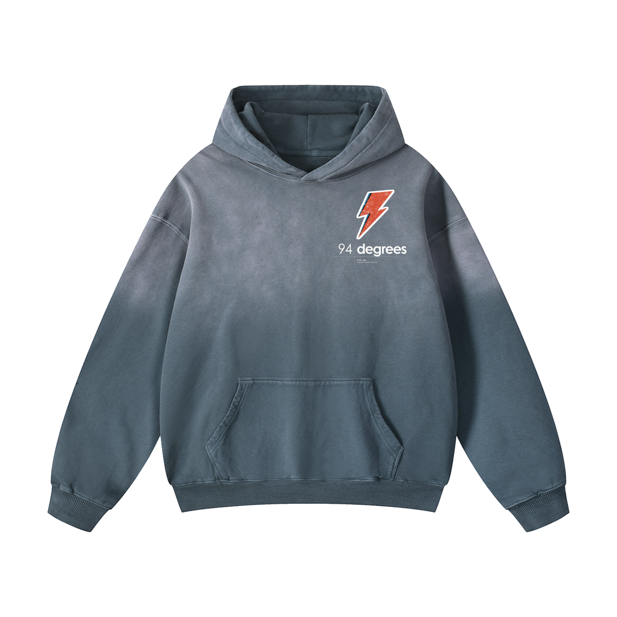 Heavyweight Sunfade Oversized Hoodie + Bowie + Legends Live Forever